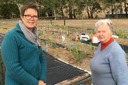 A lifelong passion for irises