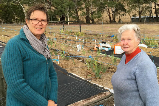 A lifelong passion for irises