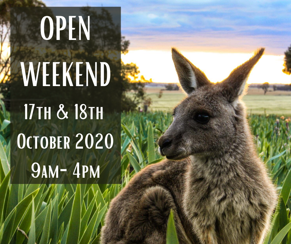 Open days 2020 - Bring on the spring bling